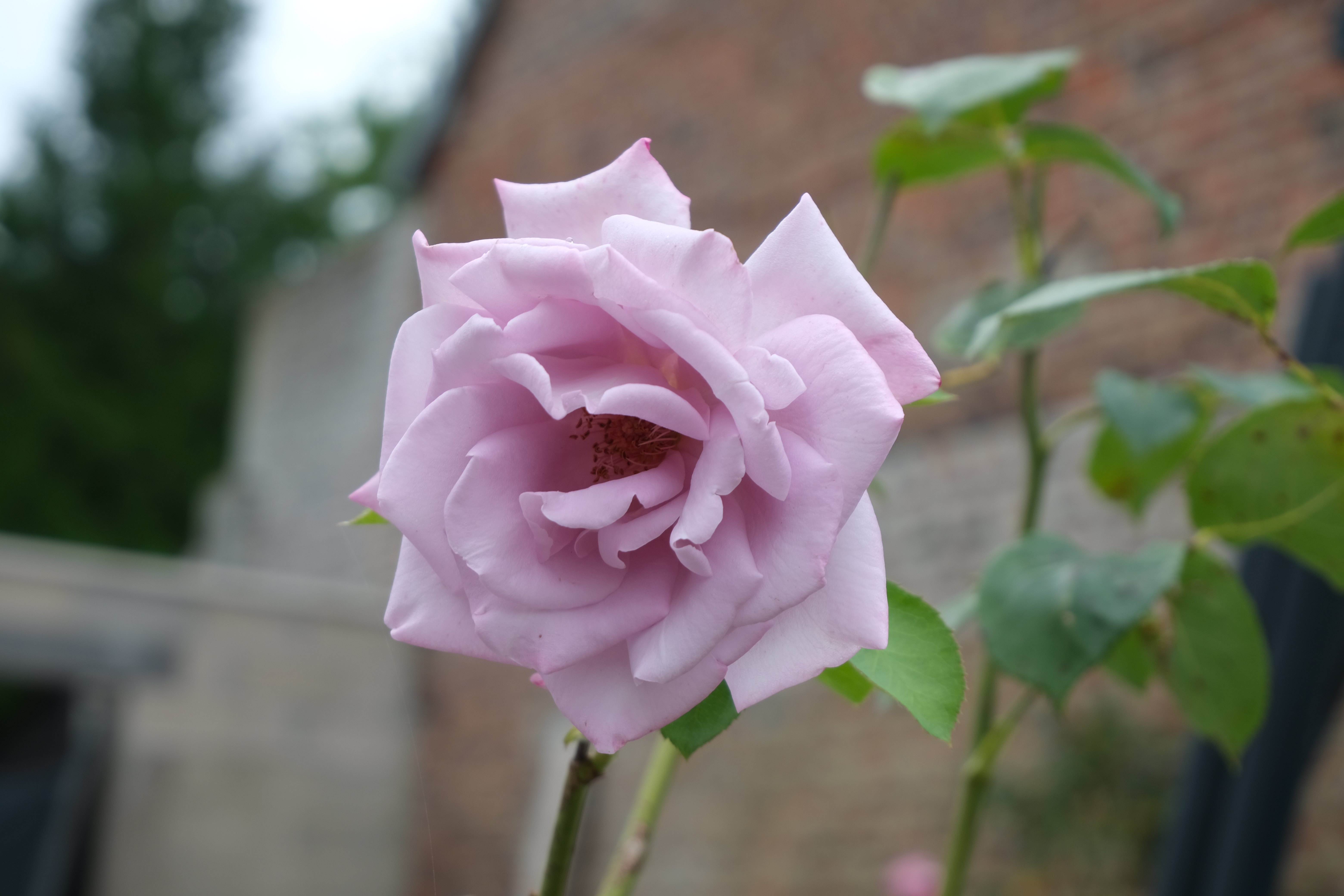 Photographie
