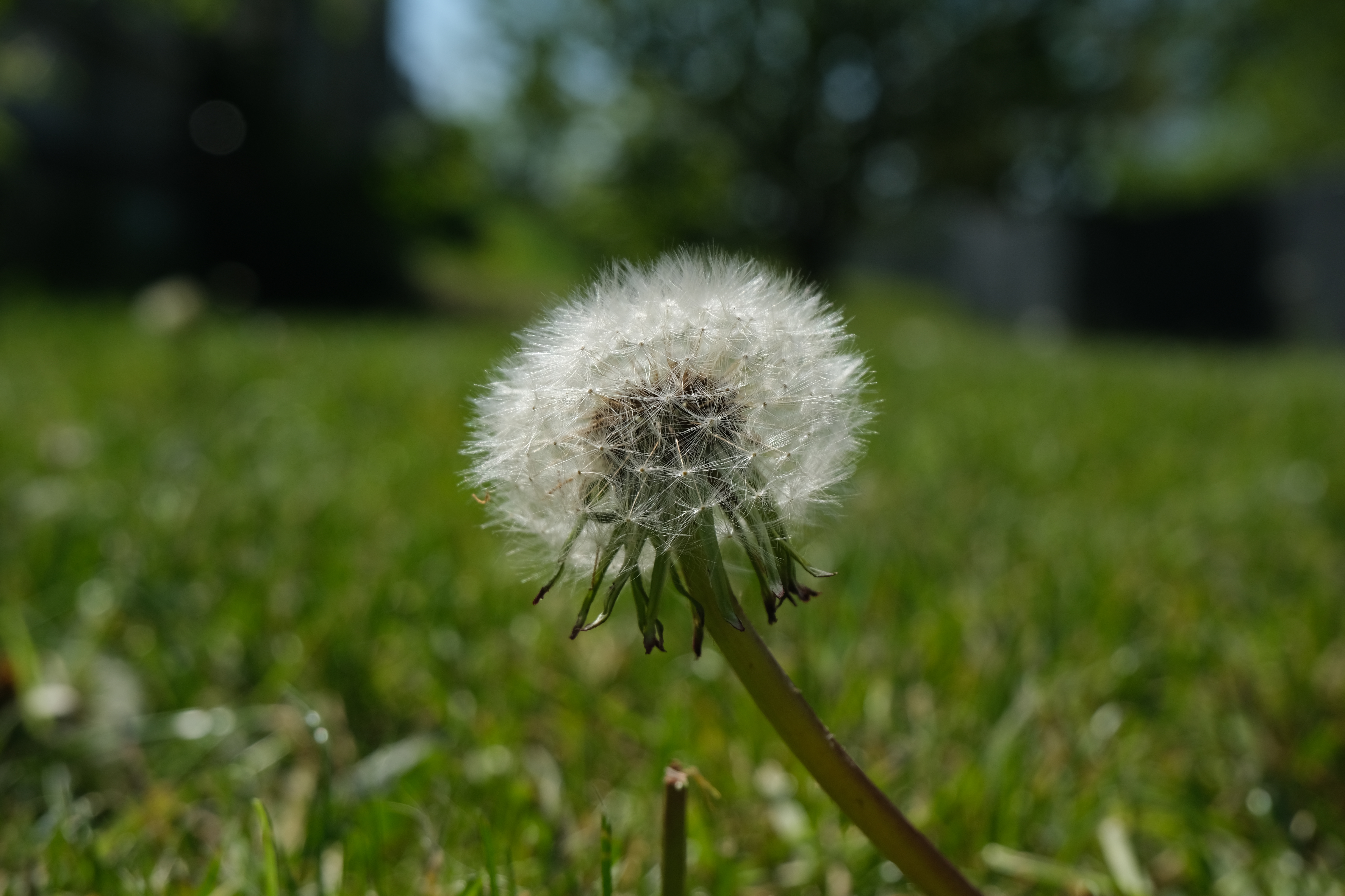 Photographie